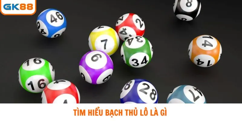 Tìm hiểu bạch thủ lô là gì 