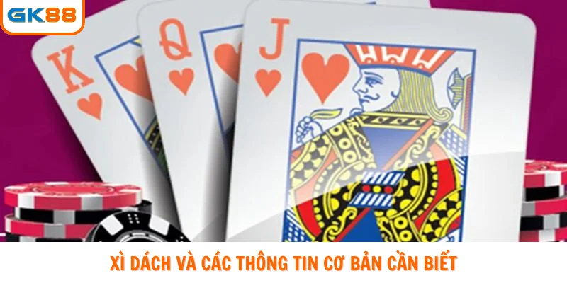 Xì dách và các thông tin cơ bản cần biết